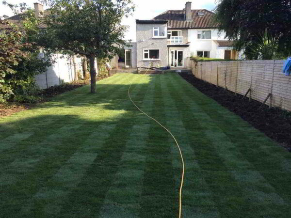 After new lawn in Dublin