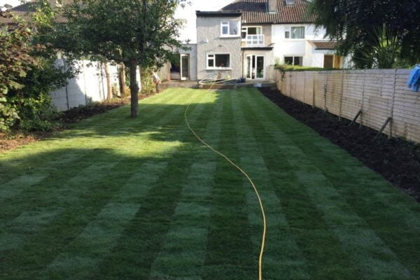 turf-lawn (3)